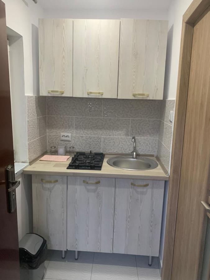 Casa Anastasia-Constanta Delfinariu Exteriör bild